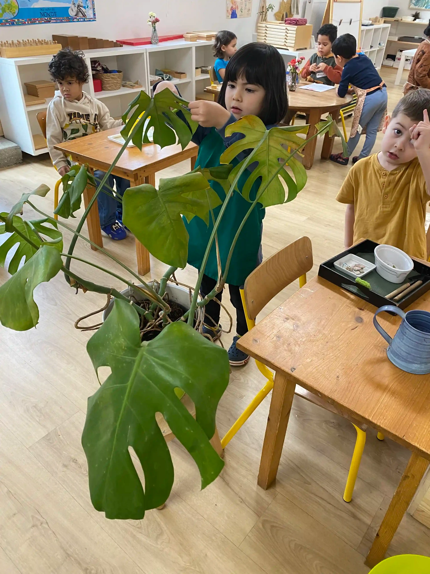 Inside Junior Academy — photo 1