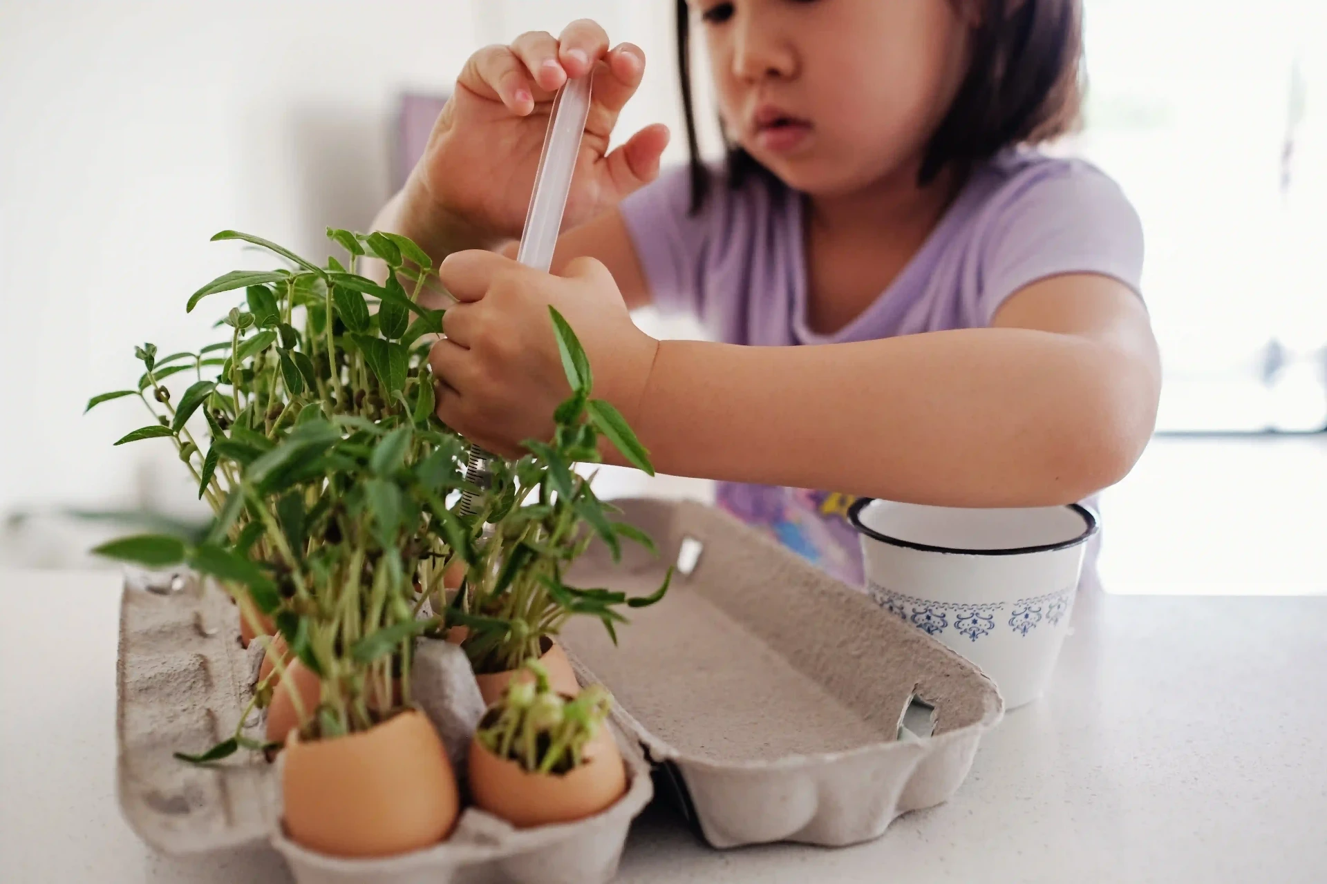 Enfant Montessori prenant soin de jeunes pousses dans des coquilles d'œufs